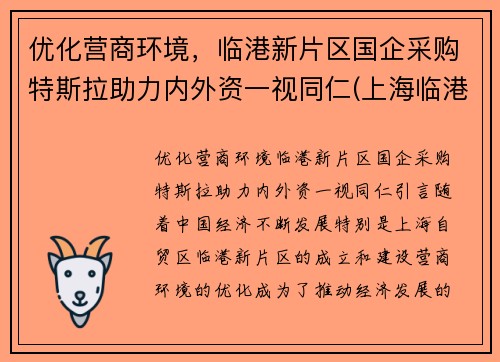 优化营商环境，临港新片区国企采购特斯拉助力内外资一视同仁(上海临港特斯拉配套公司)