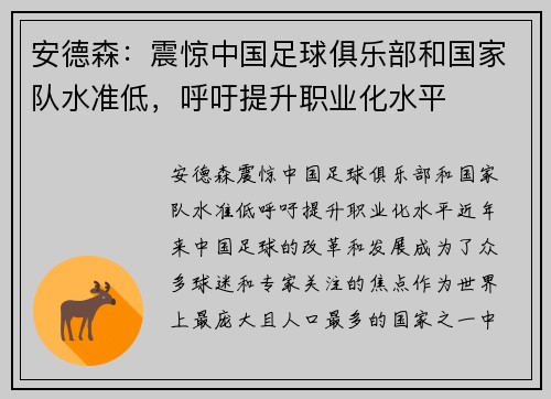 安德森：震惊中国足球俱乐部和国家队水准低，呼吁提升职业化水平